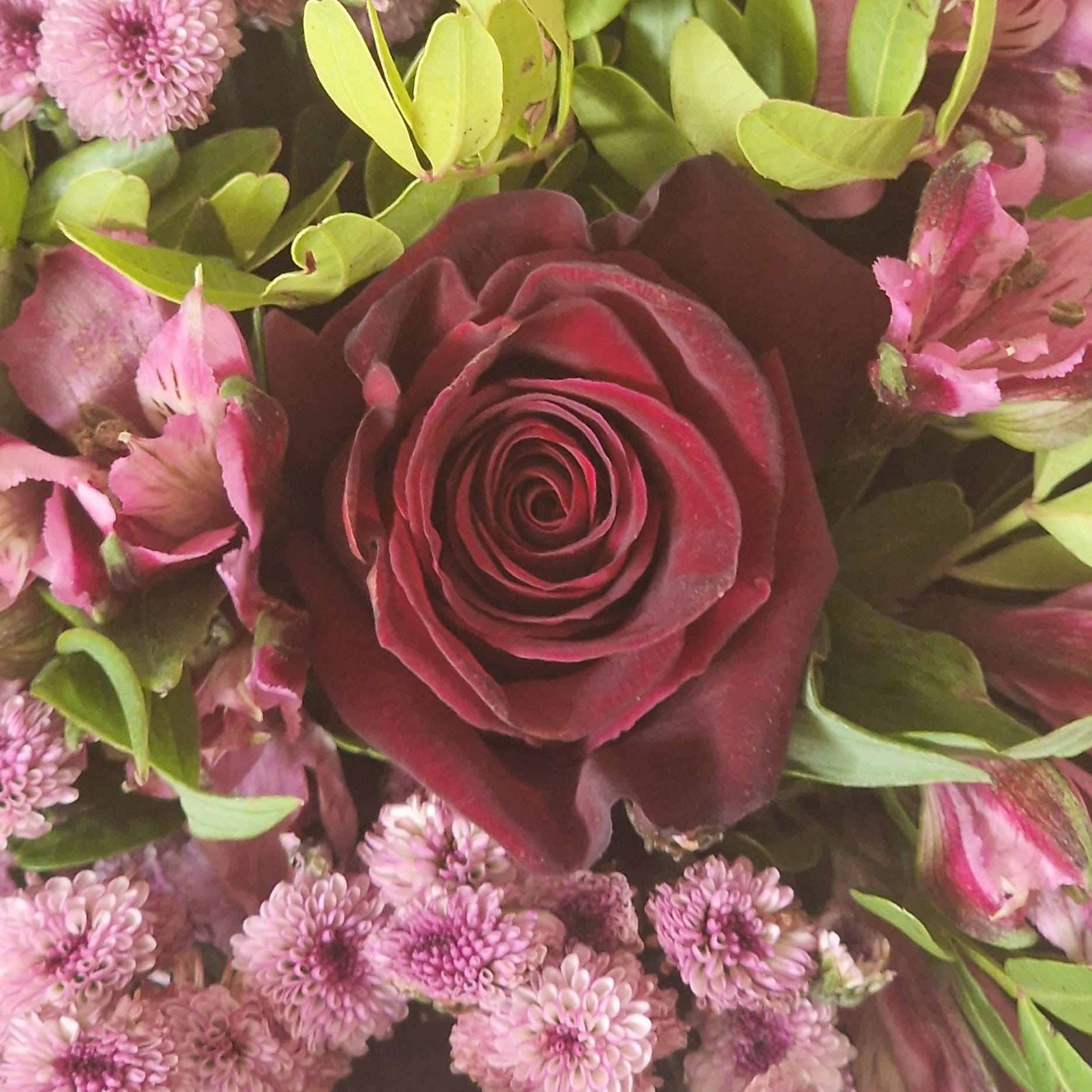 Ramo de rosas, crisantemos dotty pink y alstroemelia